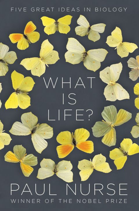 Cover image for book What Is Life?