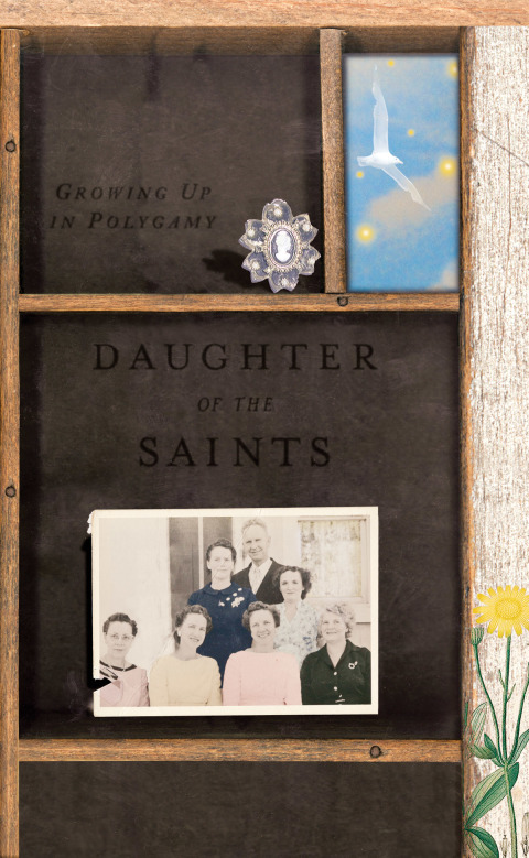 Cover image for book Daughter of the Saints
