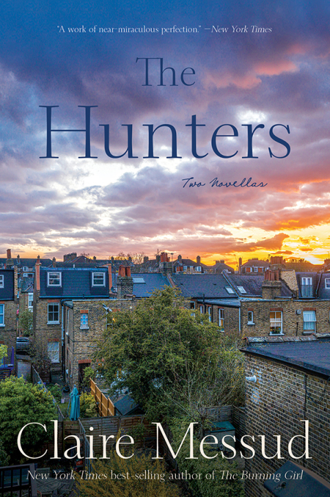 Cover image for book The Hunters