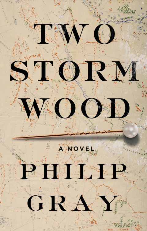 Cover image for book Two Storm Wood