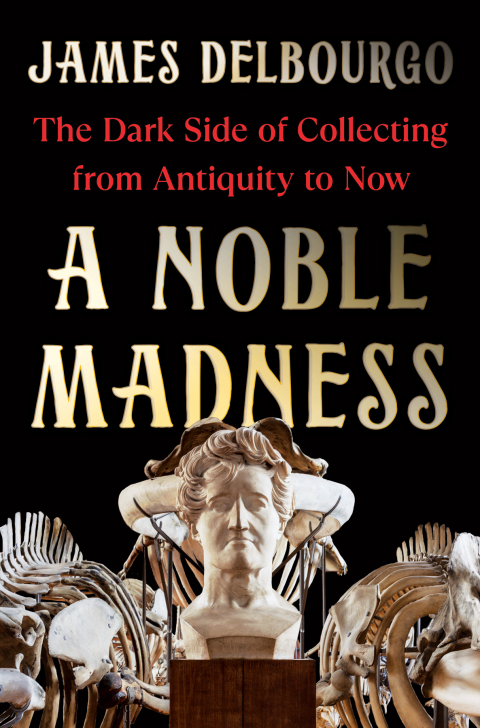 Cover image for book A Noble Madness