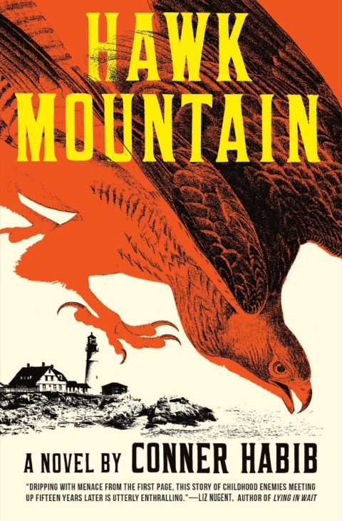 Cover image for book Hawk Mountain