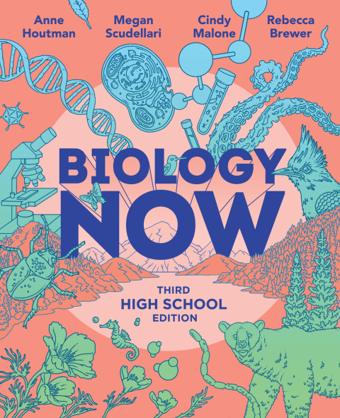 Cover image for book Biology Now (High School Edition)