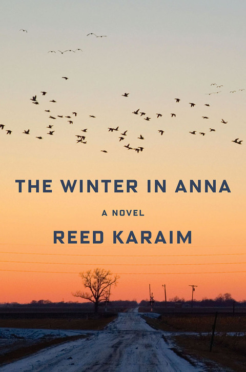 Cover image for book The Winter in Anna: A Novel