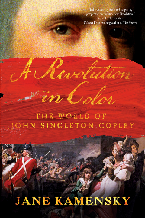 Cover image for book A Revolution in Color