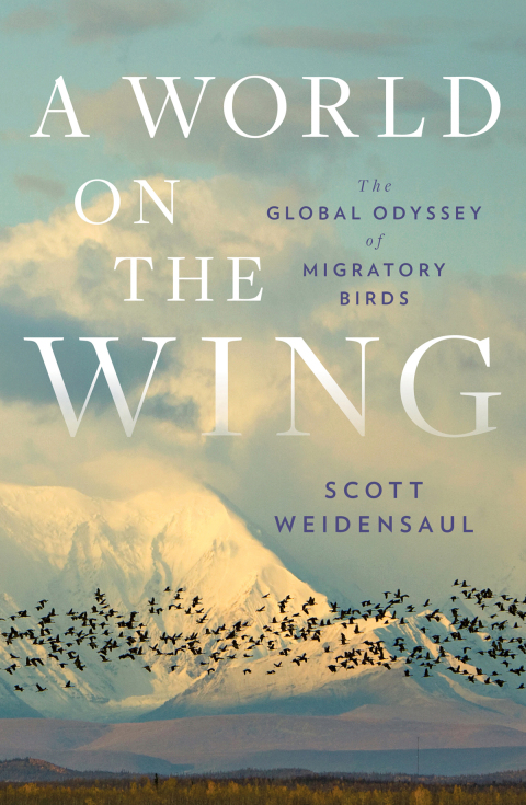 Cover image for book A World on the Wing
