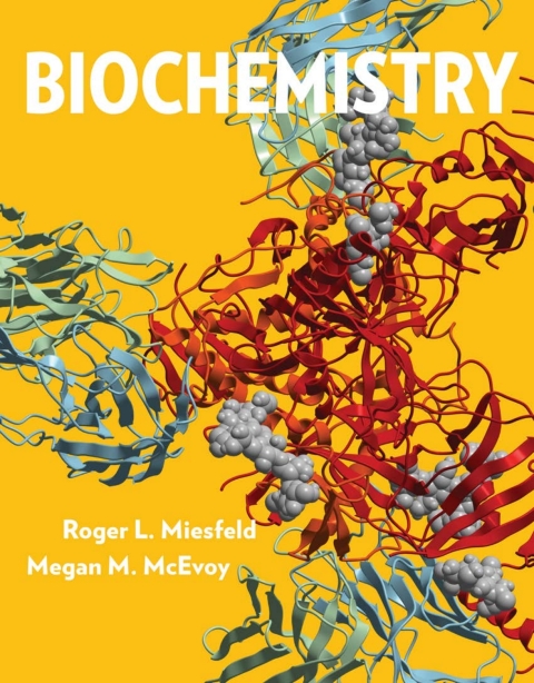 Cover image for book Biochemistry (First Edition)