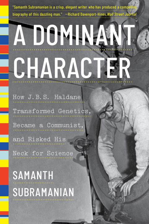 Cover image for book A Dominant Character