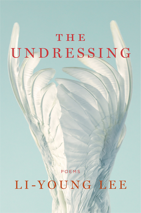 Cover image for book The Undressing