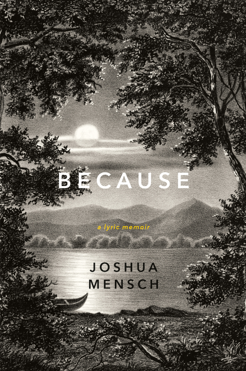 Cover image for book Because
