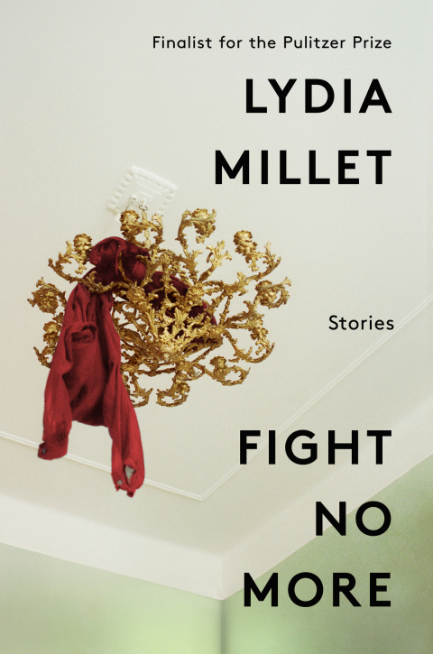 Cover image for book Fight No More