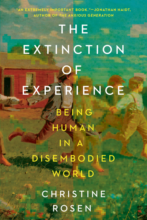 Cover image for book The Extinction of Experience: Being Human in a Disembodied World