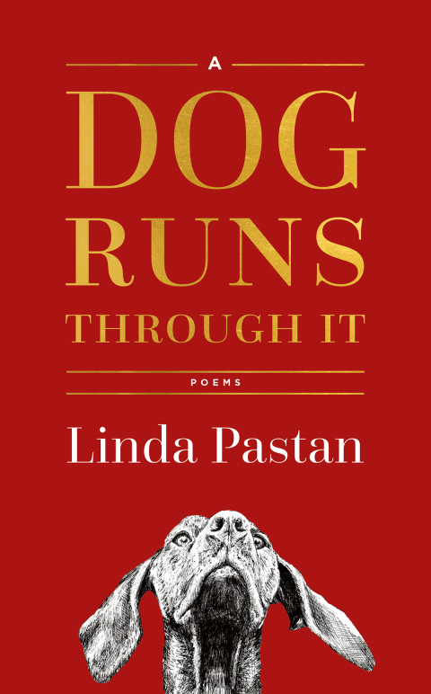 Cover image for book A Dog Runs Through It