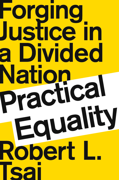Cover image for book Practical Equality