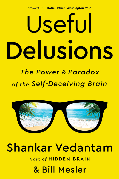 Cover image for book Useful Delusions