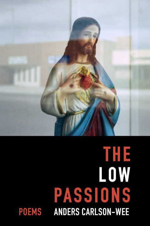 Cover image for book The Low Passions