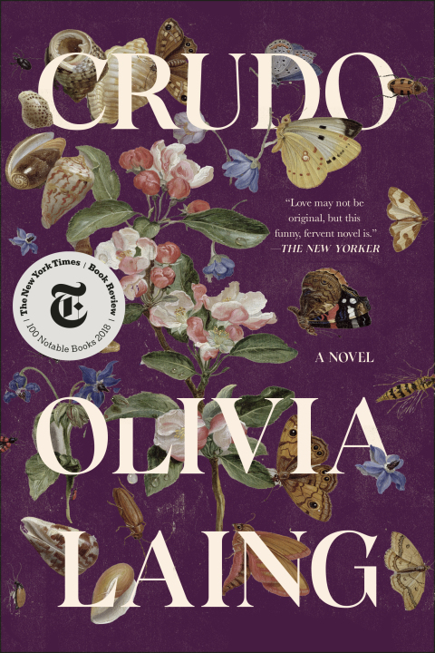 Cover image for book Crudo