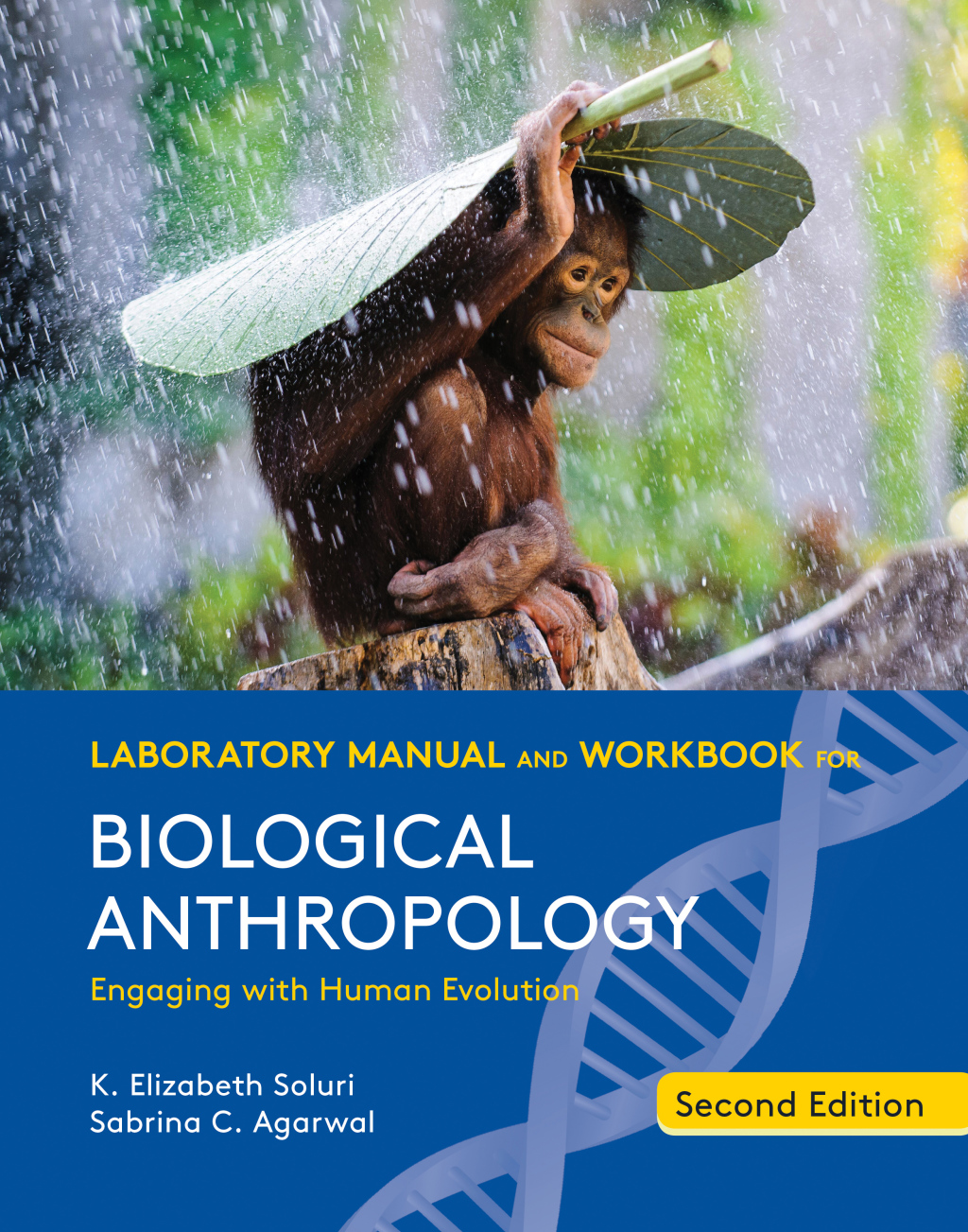 Online Resource Laboratory Manual and Workbook for Biological Anthropology (Second Edition)&nbsp;; $44.43