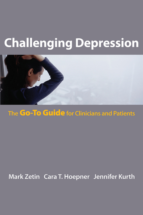 Cover image for book Challenging Depression