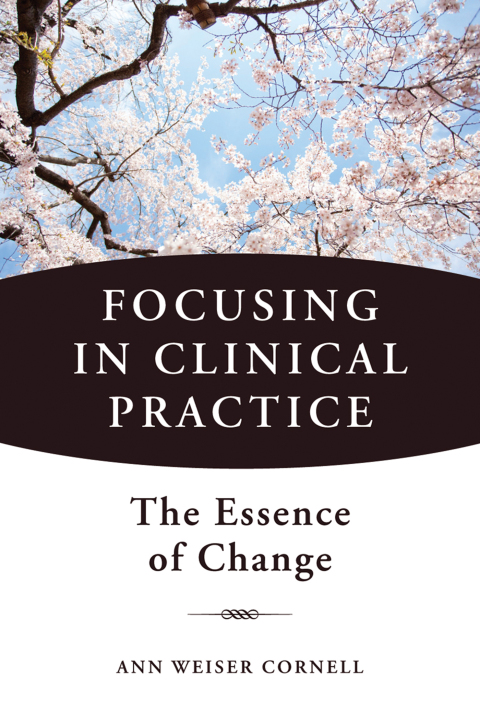 Cover image for book Focusing in Clinical Practice