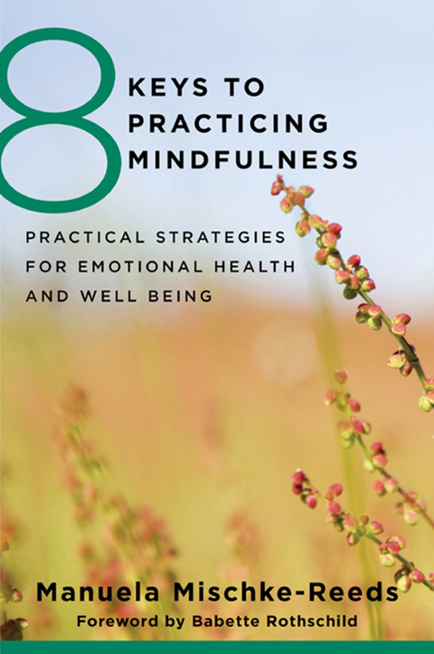 Cover image for book 8 Keys to Practicing Mindfulness
