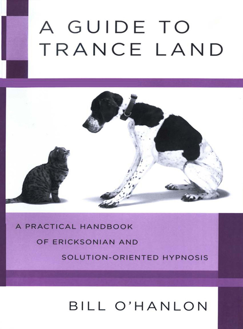 Cover image for book A Guide to Trance Land