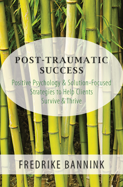 Cover image for book Post Traumatic Success