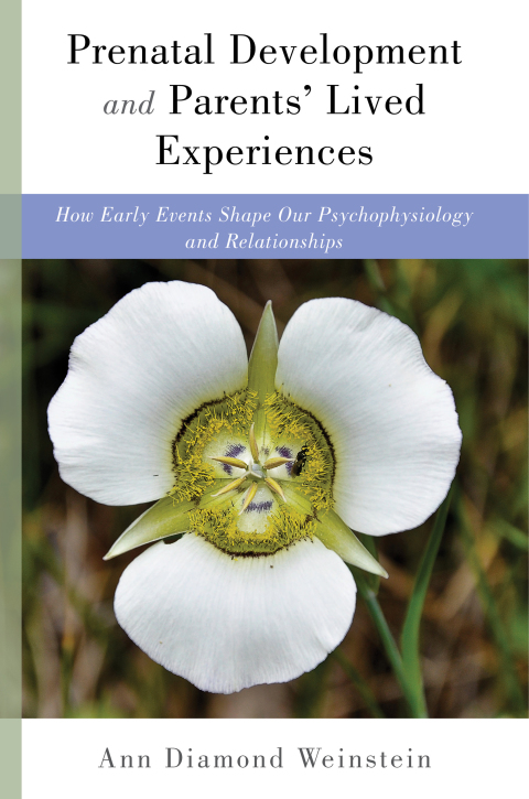 Cover image for book Prenatal Development and Parents' Lived Experiences
