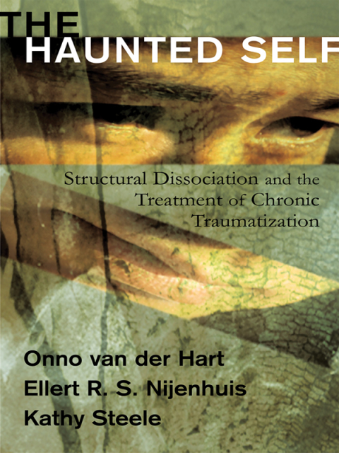 Cover image for book The Haunted Self