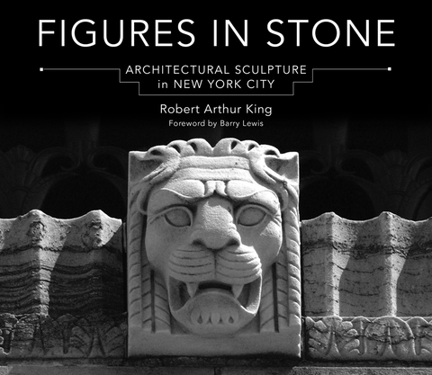 Cover image for book Figures in Stone