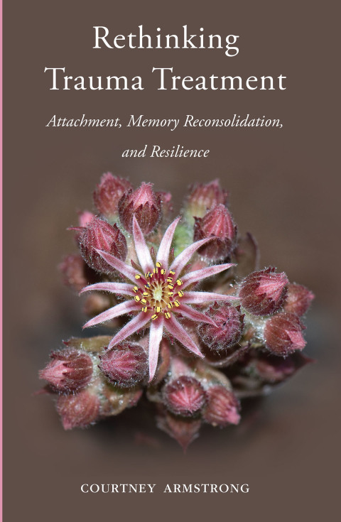 Cover image for book Rethinking Trauma Treatment
