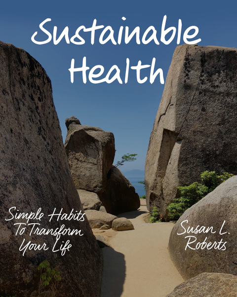 Cover image for book Sustainable Health