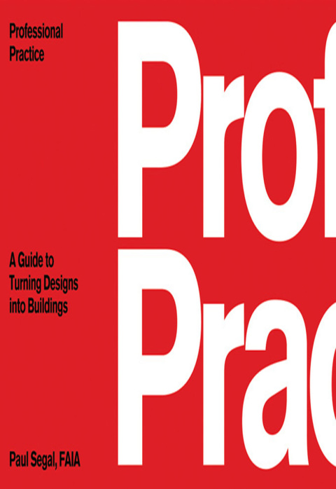 Cover image for book Professional Practice