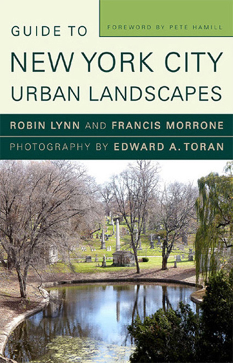 Cover image for book Guide to New York City Urban Landscapes