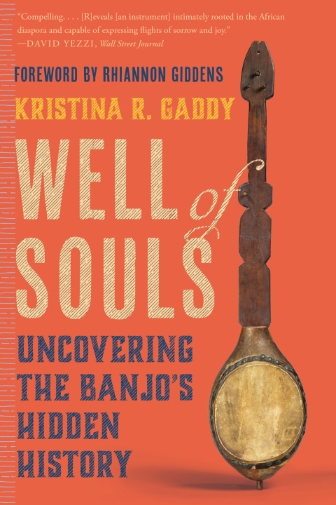 Cover image for book Well of Souls: Uncovering the Banjo's Hidden History