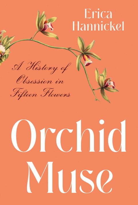 Cover image for book Orchid Muse