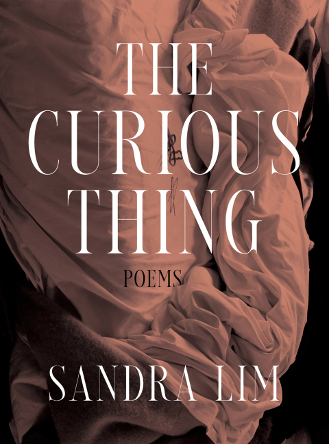 Cover image for book The Curious Thing