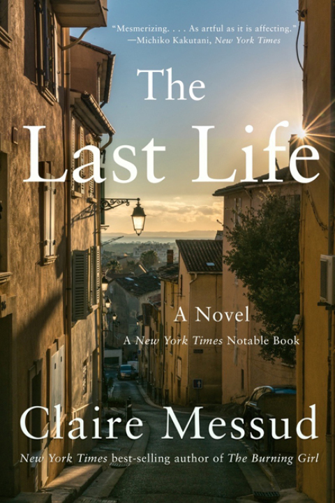 Cover image for book The Last Life