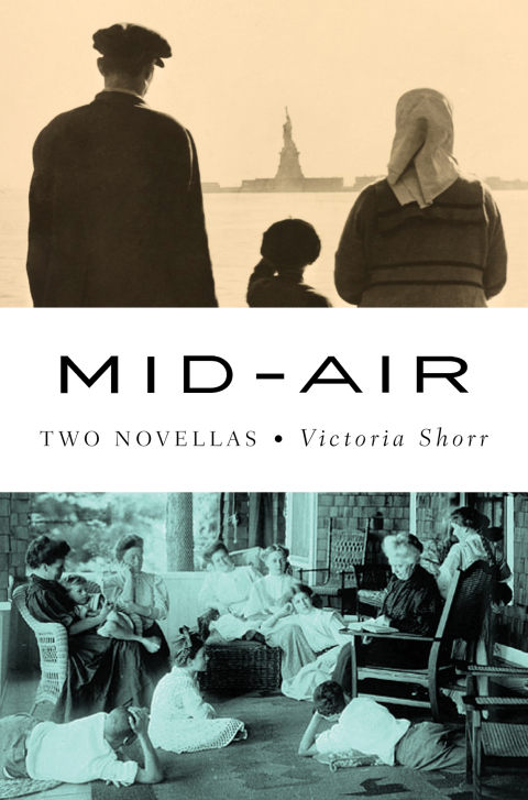 Cover image for book Mid-Air