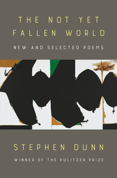 Cover image for book The Not Yet Fallen World