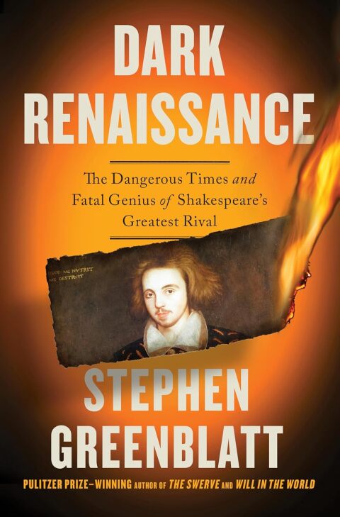 Cover image for book Dark Renaissance