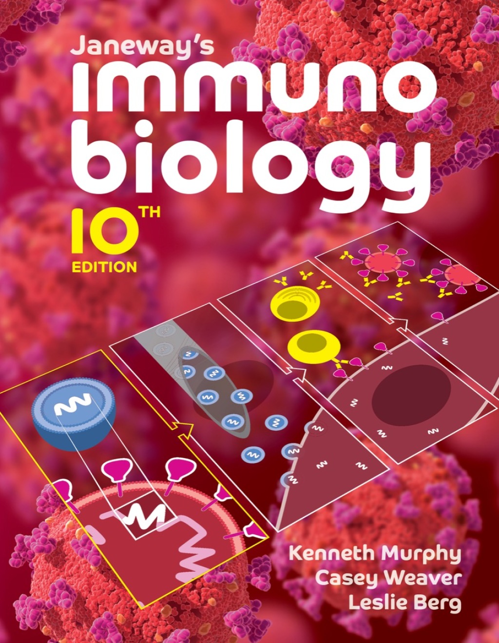 Reflowable Janeway's Immunobiology; $112.64