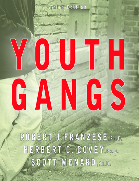 Cover image for book Youth Gangs