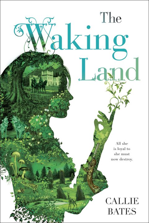 Cover image for book The Waking Land