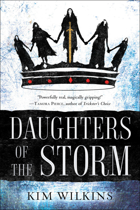 Cover image for book Daughters of the Storm