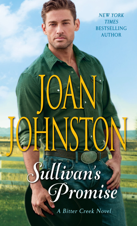 Cover image for book Sullivan's Promise