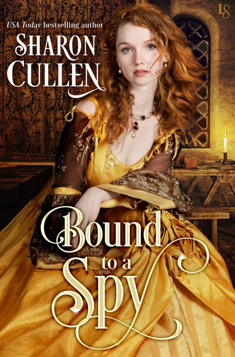 Cover image for book Bound to a Spy