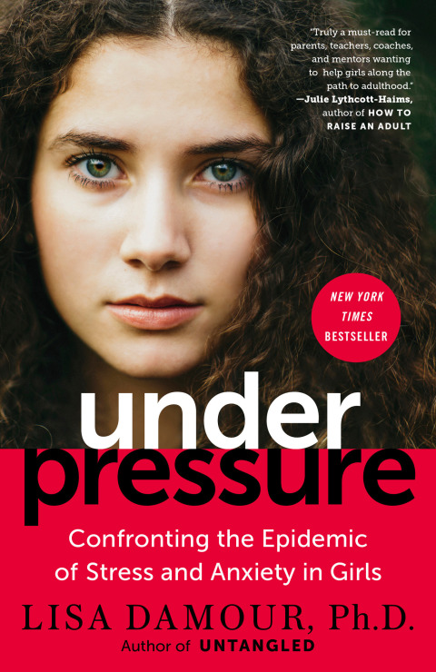 Cover image for book Under Pressure
