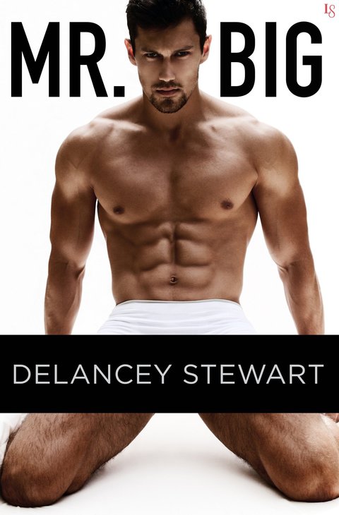 Cover image for book Mr. Big