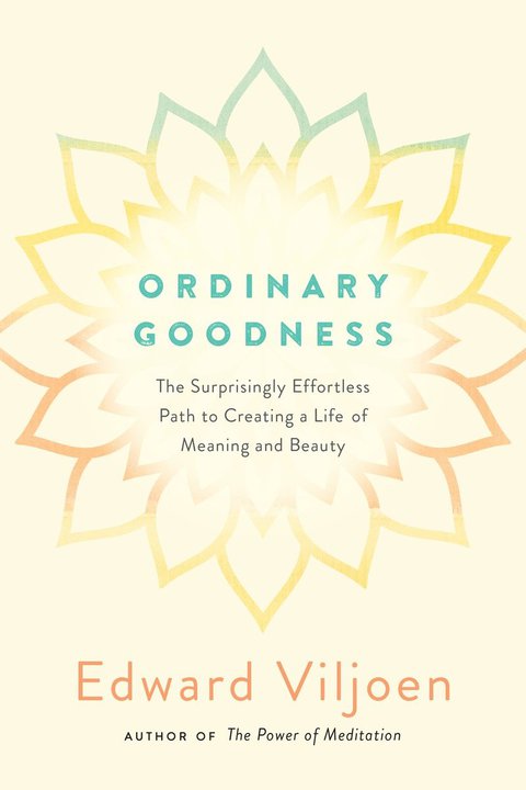 Cover image for book Ordinary Goodness
